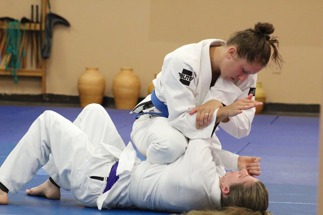Gracie/Sauer Jiujitsu academy photo