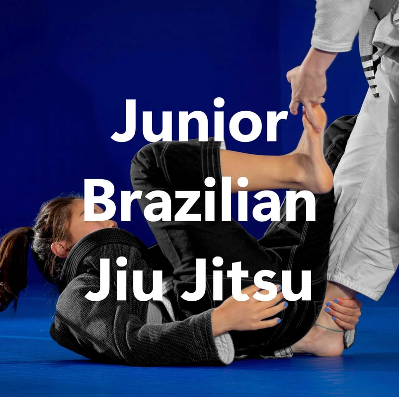 Gracie/Sauer Jiujitsu academy photo