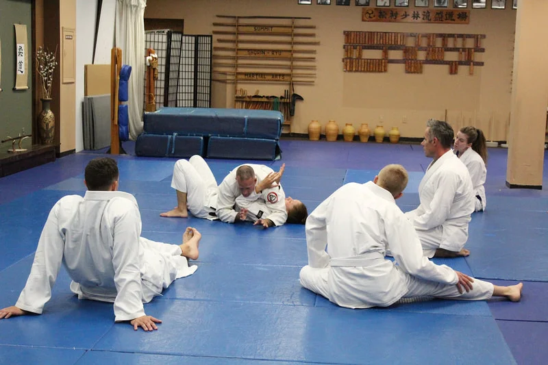 Gracie/Sauer Jiujitsu academy photo