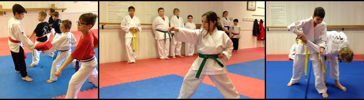Great Lakes Martial Arts academy photo