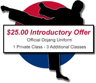 Great Lakes Martial Arts academy photo