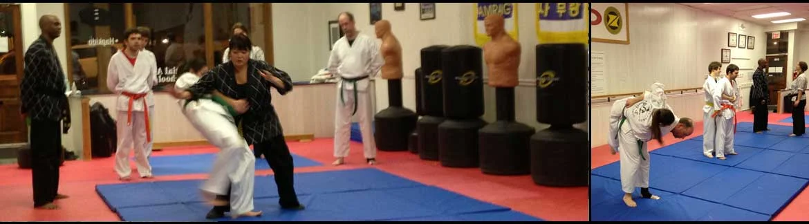 Great Lakes Martial Arts academy photo