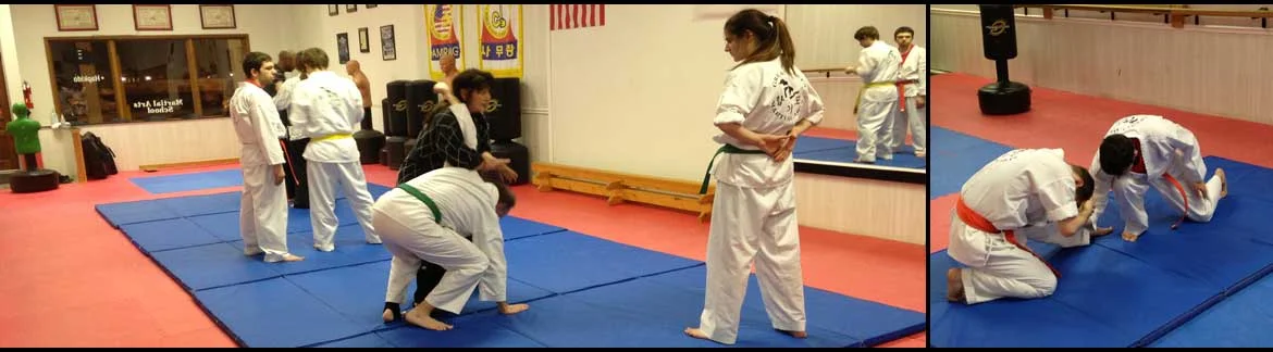 Great Lakes Martial Arts visual
