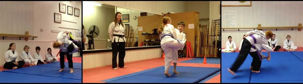 Great Lakes Martial Arts academy photo