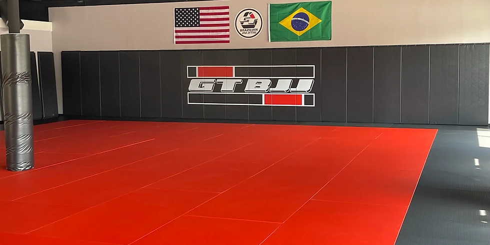 GT Brazilian Jiu-Jitsu academy photo