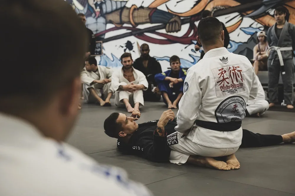 Hurricane Jiu Jitsu visual