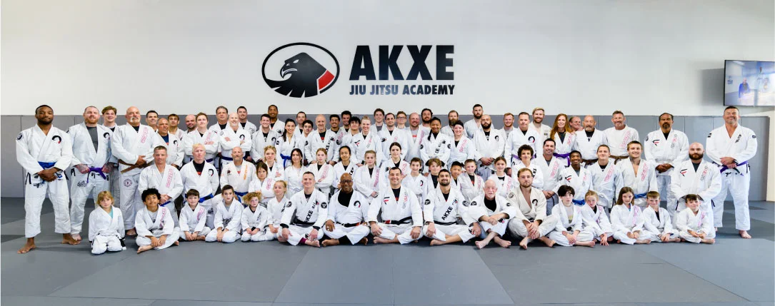 Findlay Jiu-Jitsu Academy academy photo