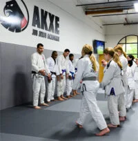 Findlay Jiu-Jitsu Academy academy photo