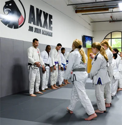Findlay Jiu-Jitsu Academy academy photo