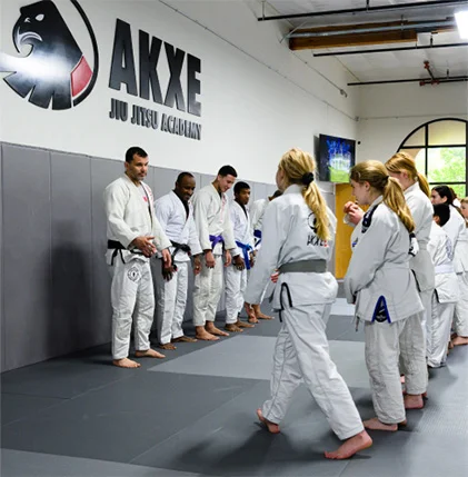 Findlay Jiu-Jitsu Academy academy photo