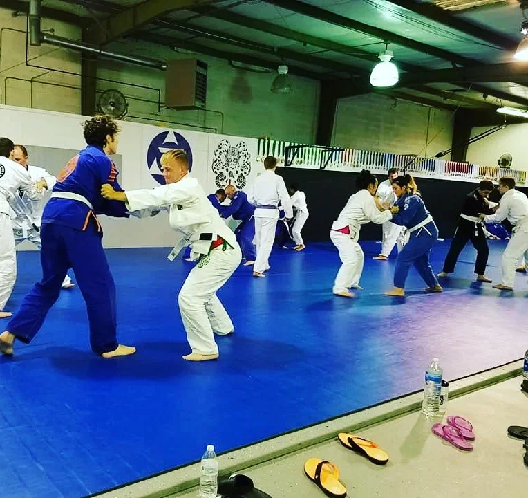 Leverage Brazilian Jiu-Jitsu academy photo