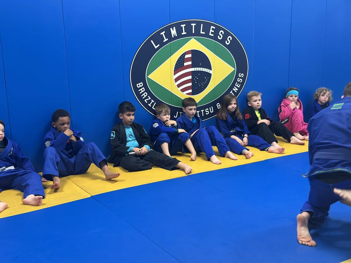 Limitless Brazilian Jiu-Jitsu & Fitness academy photo