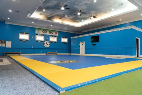 Limitless Brazilian Jiu-Jitsu & Fitness academy photo