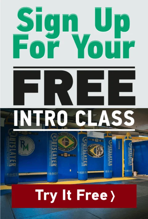 Limitless Brazilian Jiu-Jitsu & Fitness academy photo