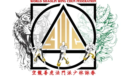 Meng's Martial Arts academy photo