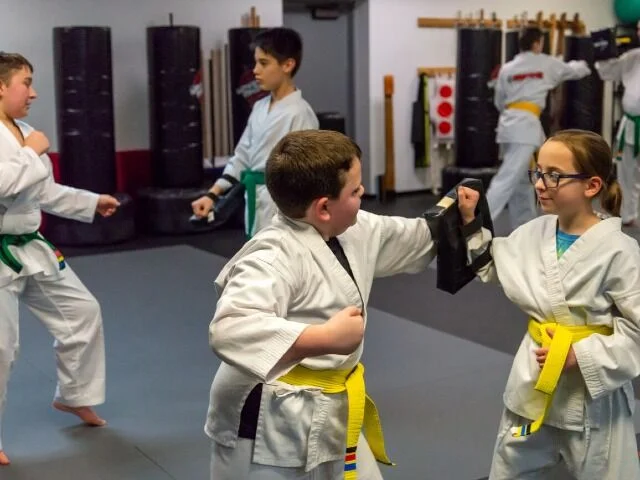 Nishime Martial Arts academy photo