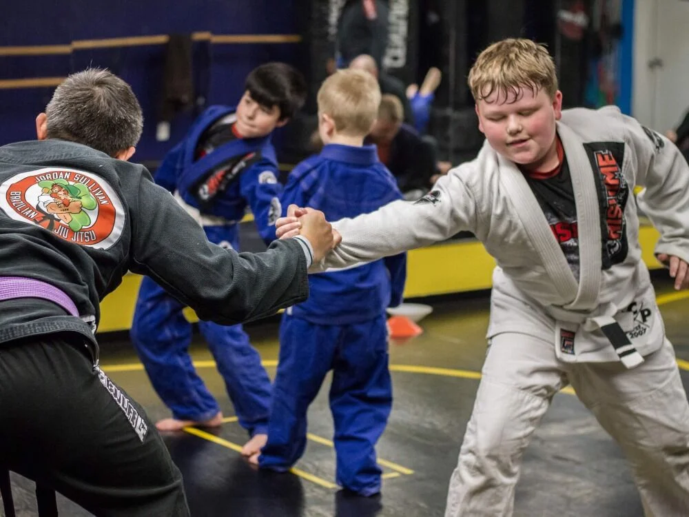 Nishime Martial Arts academy photo