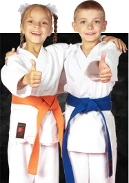 Ohio Academy of Martial Arts academy photo