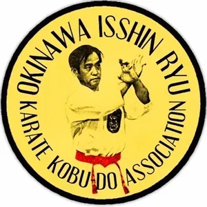 Powers Martial Arts Academy academy photo