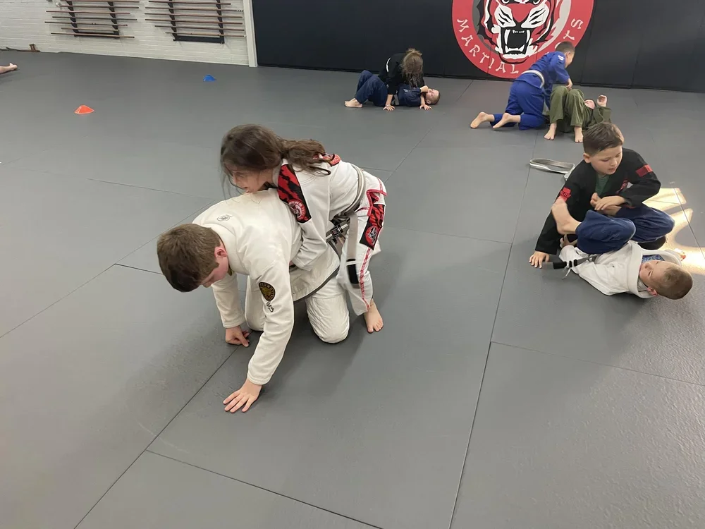 Powers Martial Arts Academy academy photo