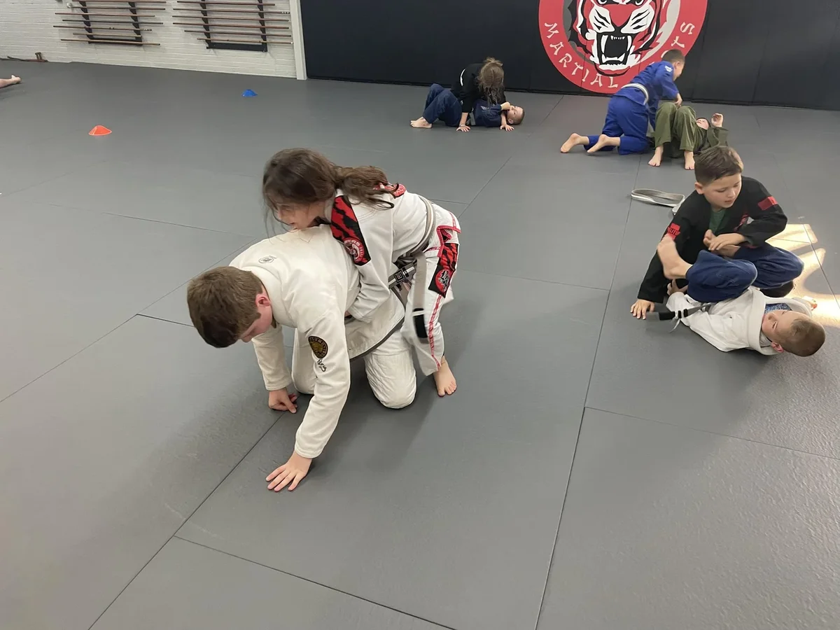 Powers Martial Arts Academy academy photo