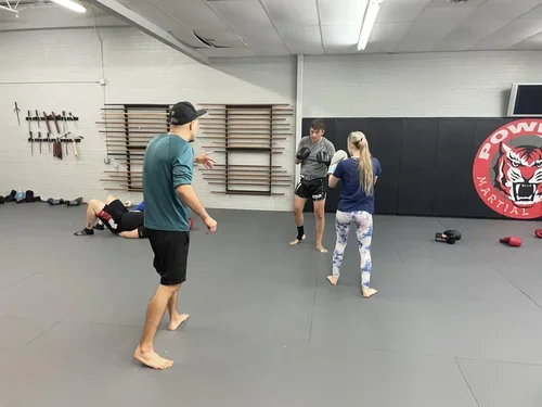Powers Martial Arts Academy academy photo