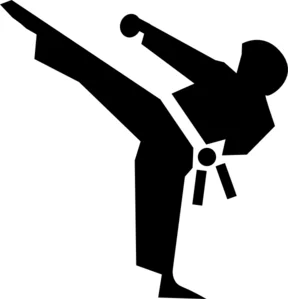 Riverview Martial Arts academy photo