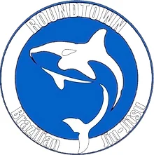 RoundTown Brazilian Jiu-Jitsu Academy academy logo