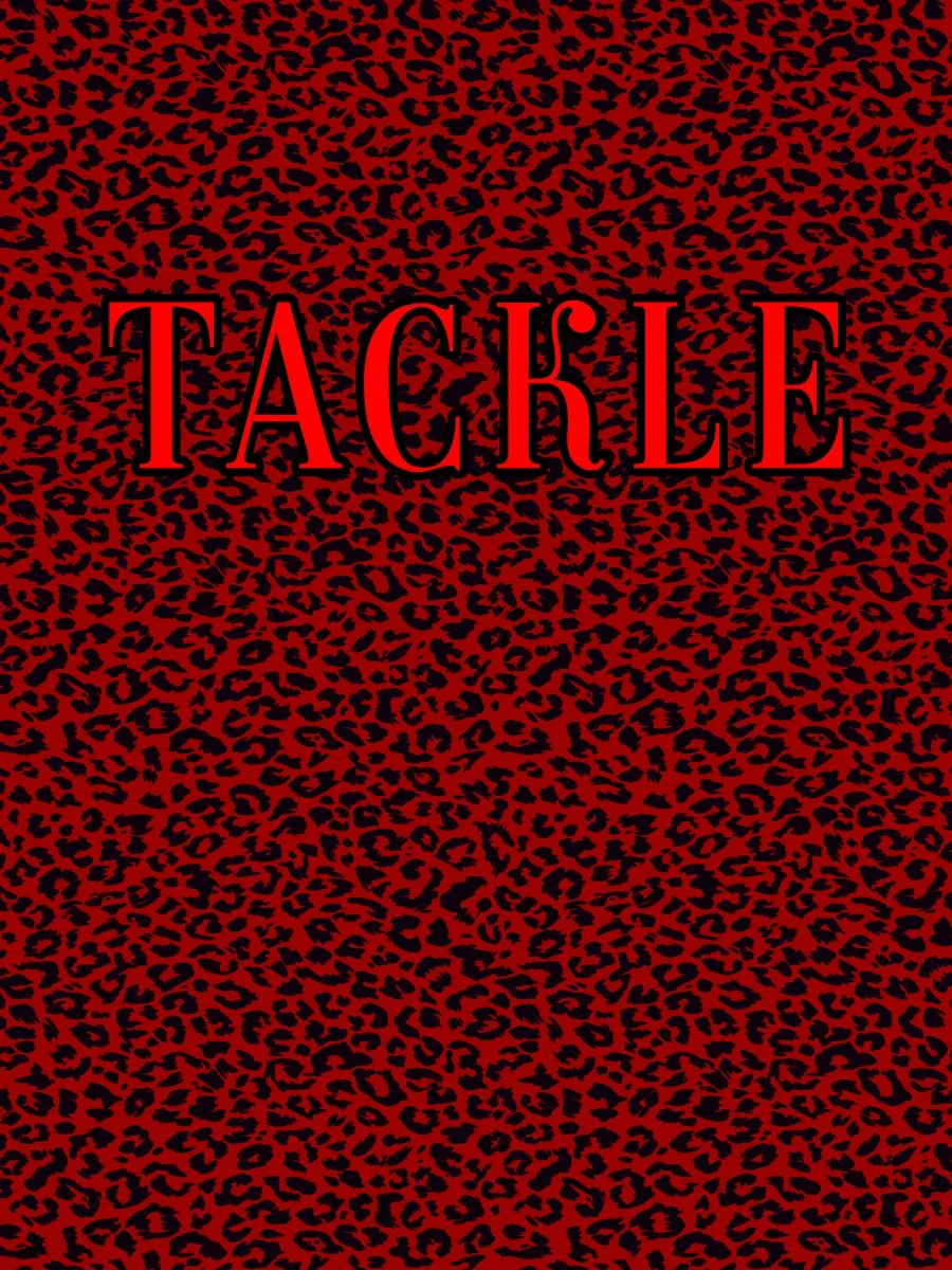 Tackle Jiu Jitsu academy photo