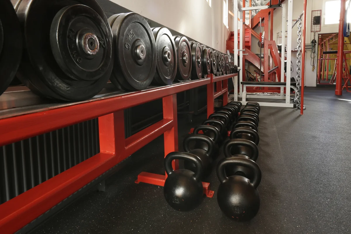 The House Of Steel academy photo