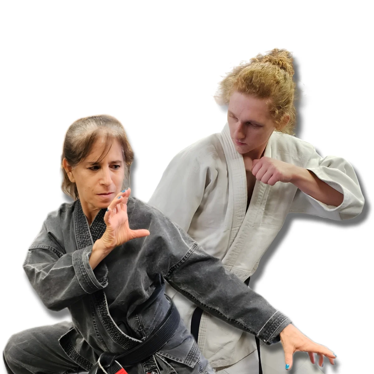 Gracie Jiu Jitsu South Euclid academy photo