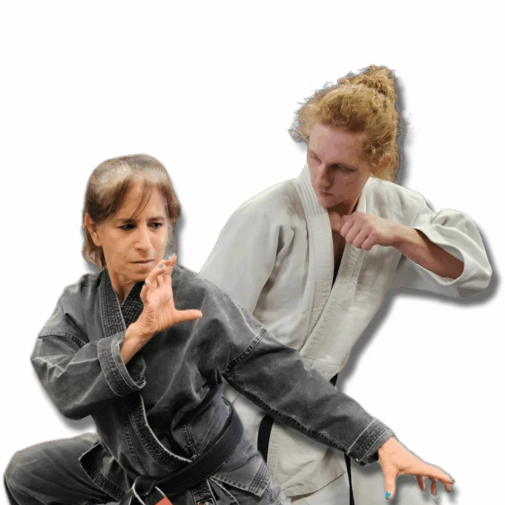 Gracie Jiu Jitsu South Euclid academy photo