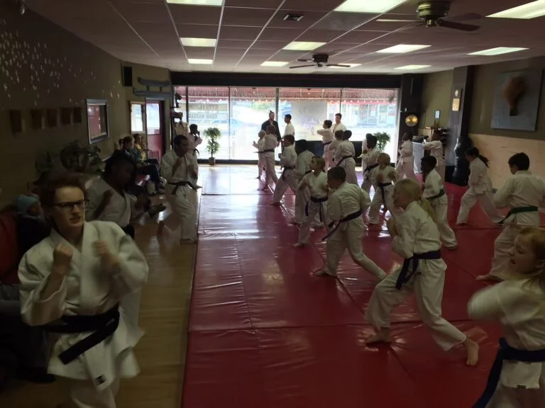 Gracie Jiu Jitsu South Euclid academy photo