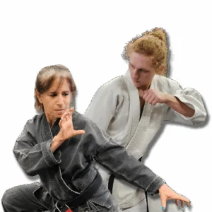Gracie Jiu Jitsu South Euclid academy photo