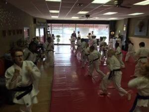 Gracie Jiu Jitsu South Euclid academy photo