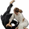 Gracie Jiu Jitsu South Euclid academy photo