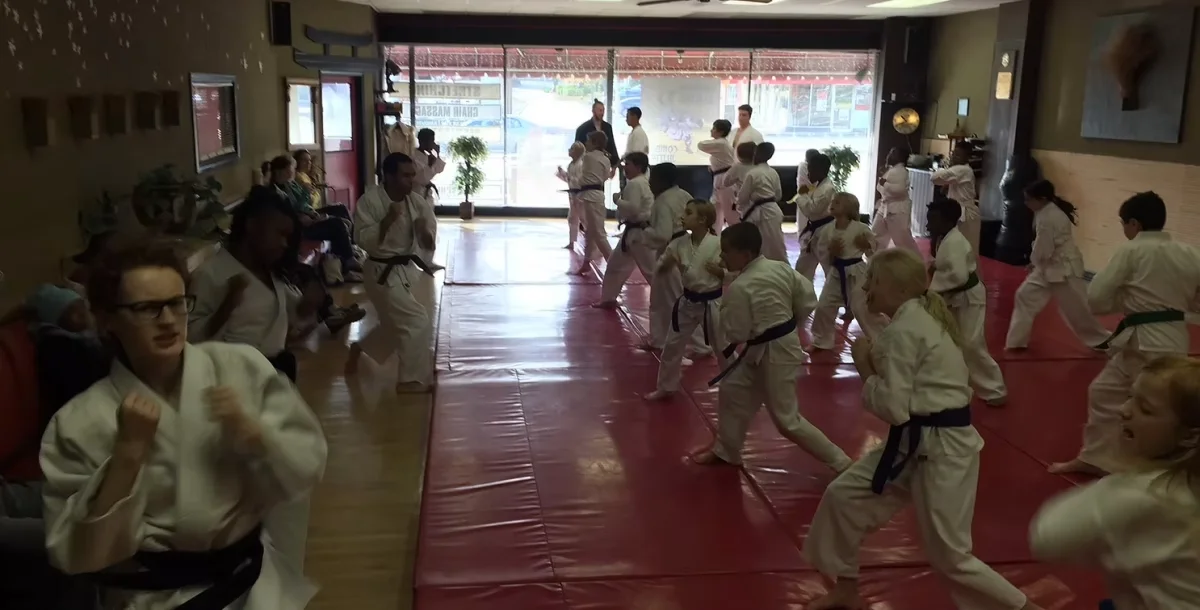 Gracie Jiu Jitsu South Euclid academy photo