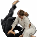 Gracie Jiu Jitsu South Euclid academy photo