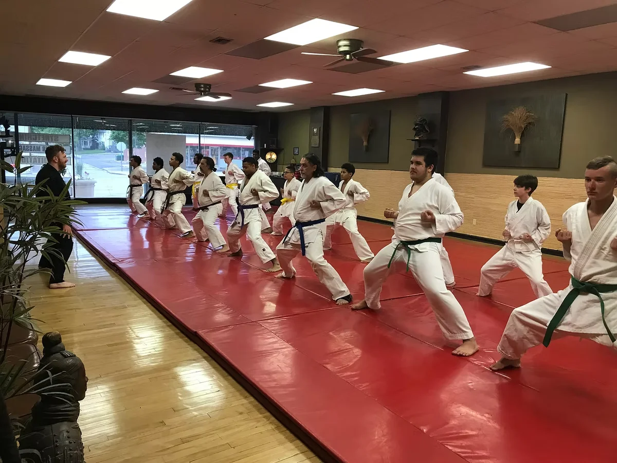 Gracie Jiu Jitsu South Euclid academy photo