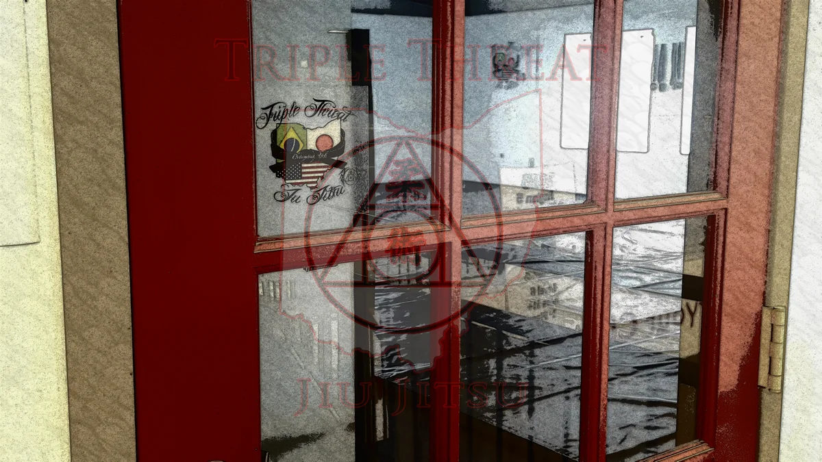 Triple Threat Brazilian Jiu Jitsu academy photo