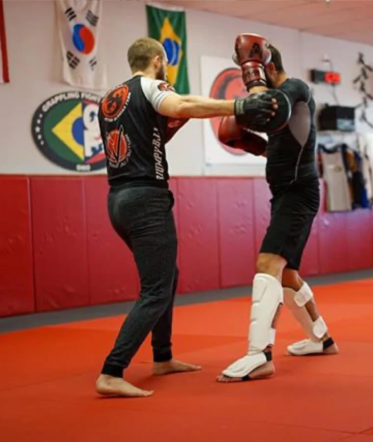 Triumph BJJ academy logo
