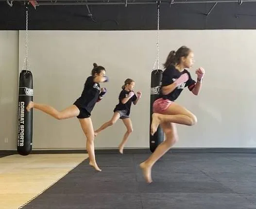 Vanyo Martial Arts academy photo