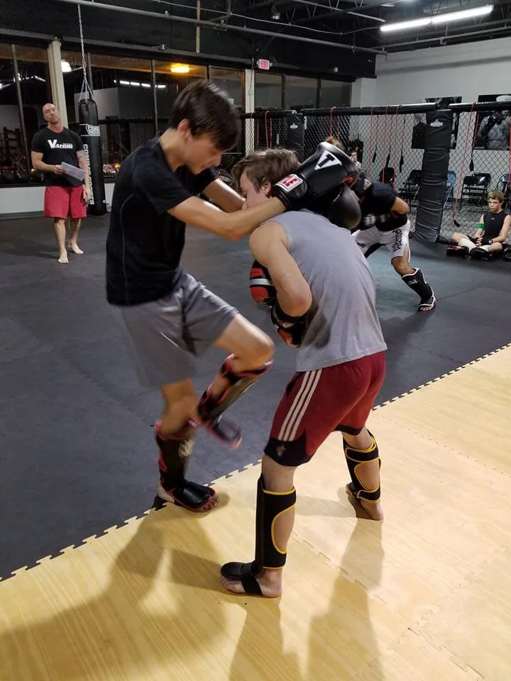 Vanyo Martial Arts academy photo