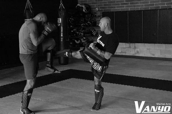Vanyo Martial Arts academy photo
