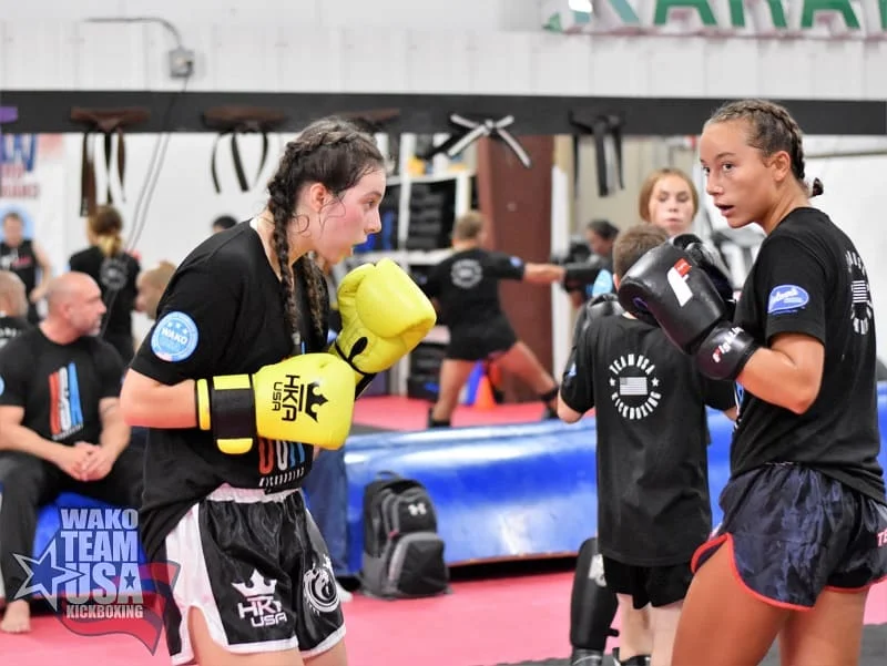 Vanyo Martial Arts academy photo