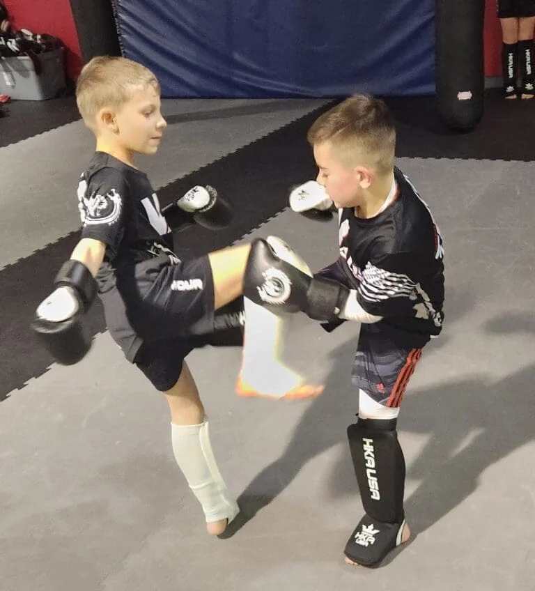 Vanyo Martial Arts academy photo