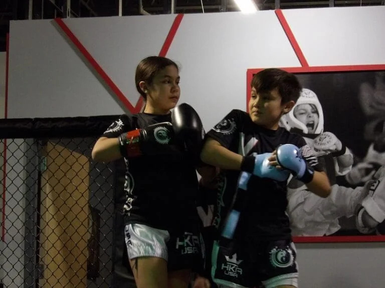Vanyo Martial Arts academy photo
