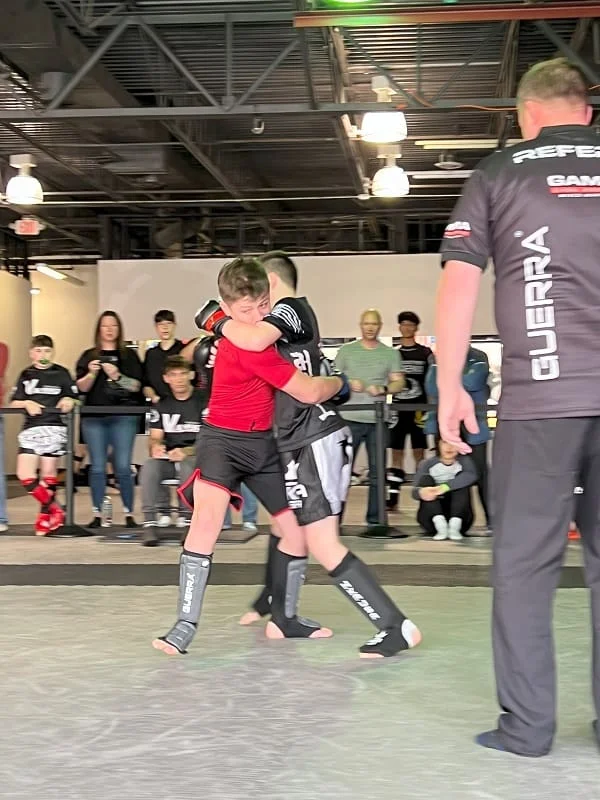 Vanyo Martial Arts academy photo