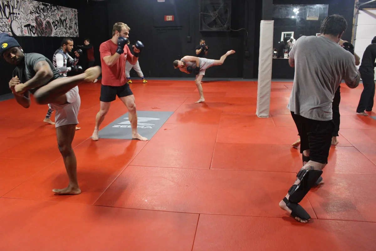 VISION Jiu Jitsu / Vision Fitness academy photo