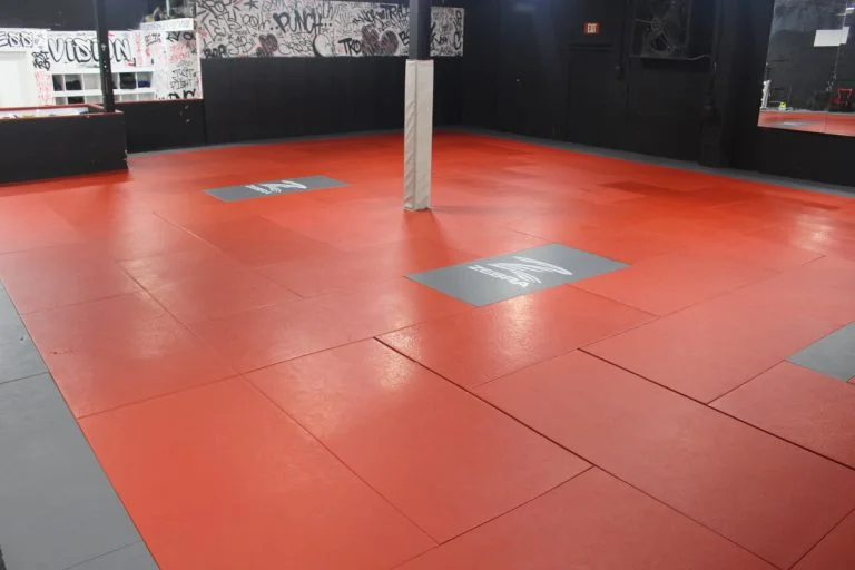 VISION Jiu Jitsu / Vision Fitness academy photo